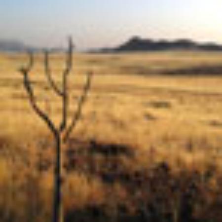 El Antiguo Parnaso S.L